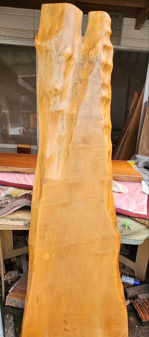 栃　トチ　カウンター　一枚板　希少