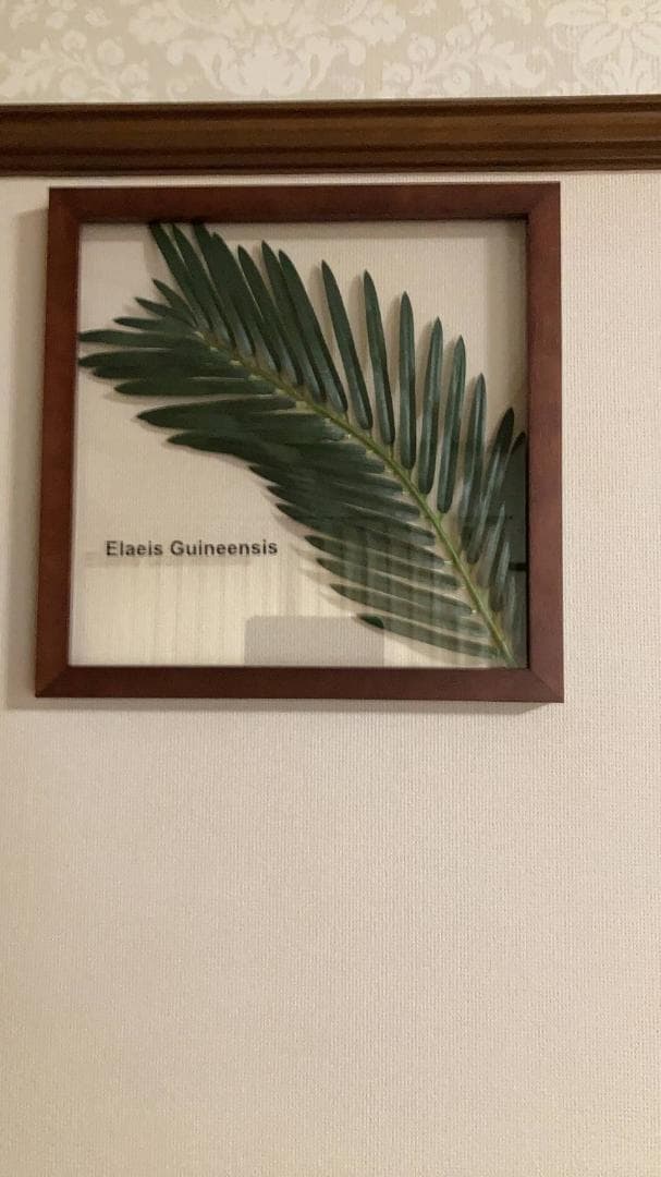 インテリアに映えるギニアアブラヤシのリーフパネル