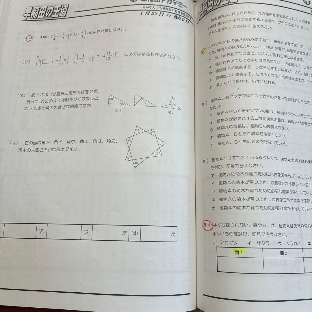 NN早稲田　早稲田中　早稲田の王道　城壁を突破せよ　早稲田アカデミー　2025