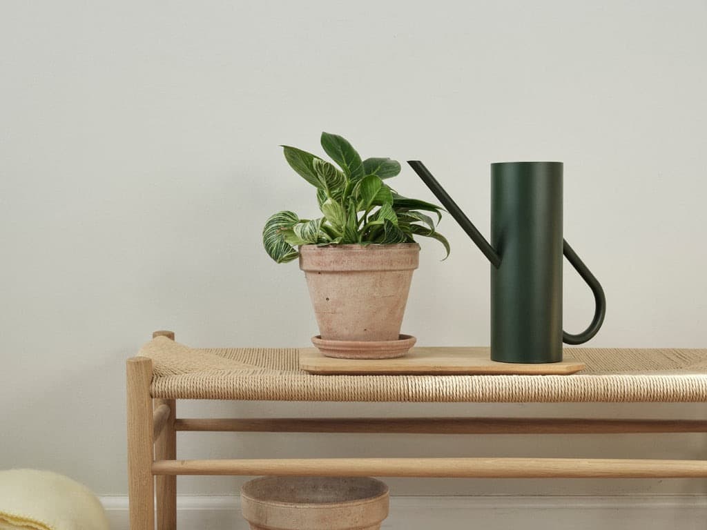 美品！ Stelton ブルーム フラワー ウォーターカン