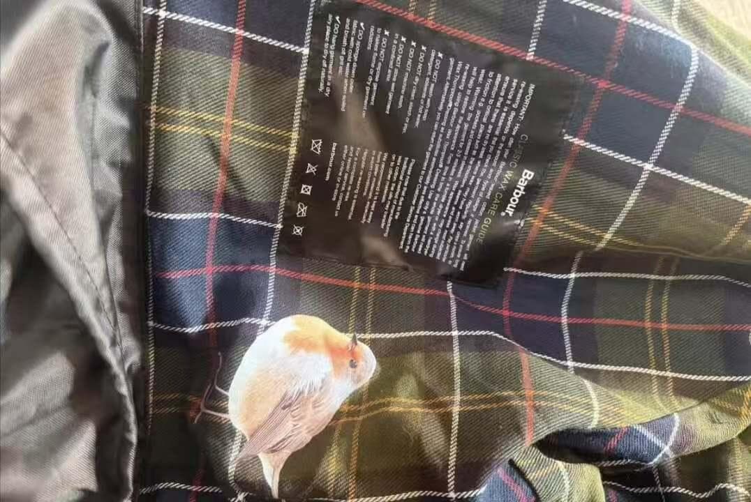 Paul Smith loves Barbour ジャケット 34