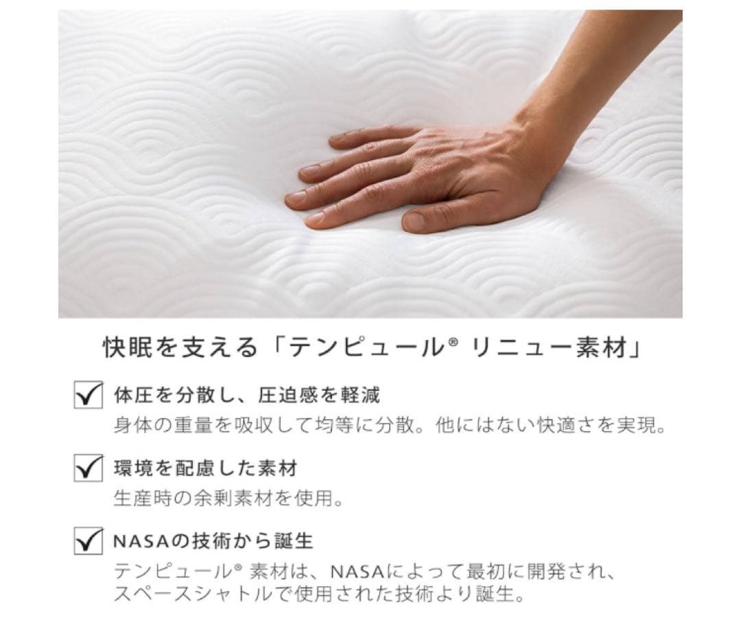 テンピュール　イーズハグピロー　枕