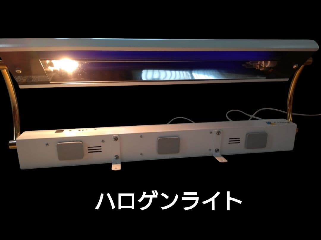 アールグラージュ　アート用ライト　ハロゲンライト シーリング　照明　インテリア