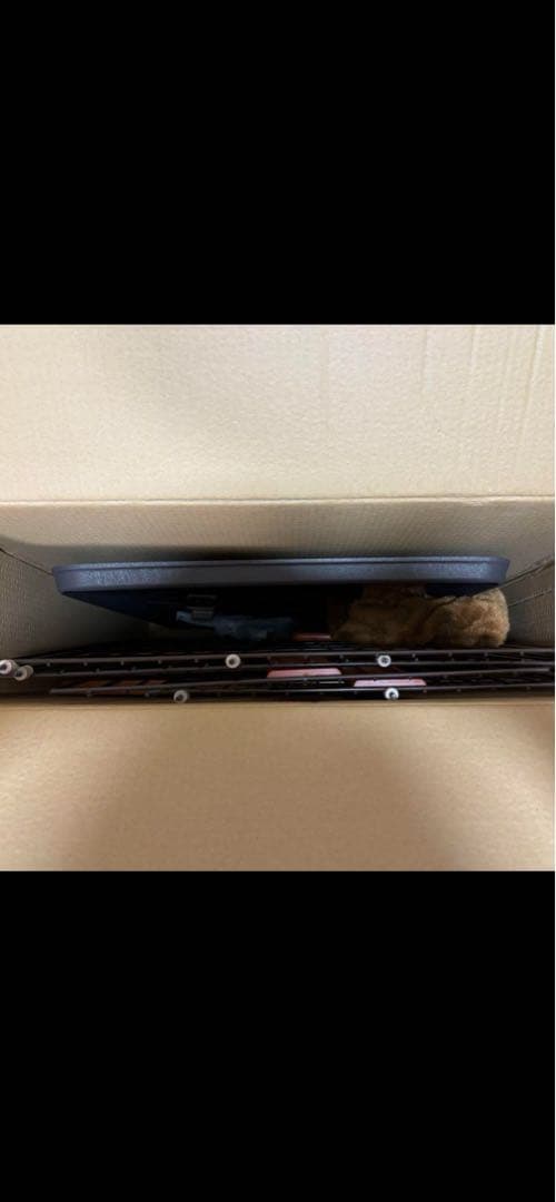 ボンビアルコンウッドワンサークルキャットミニ