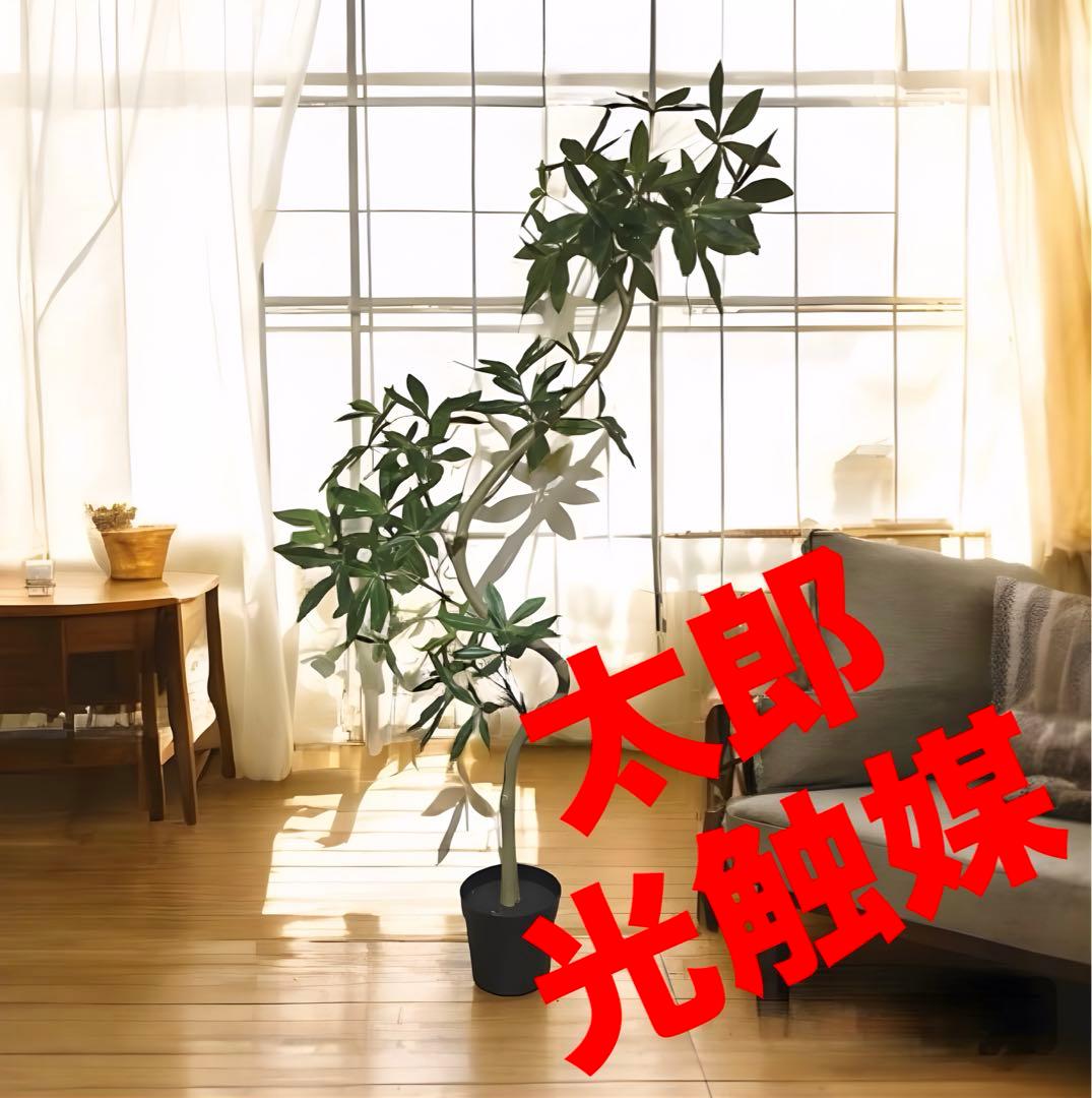 光触媒　人工観葉植物　ウォールグリーン　フェイクグリーン　パキラエレガンス200