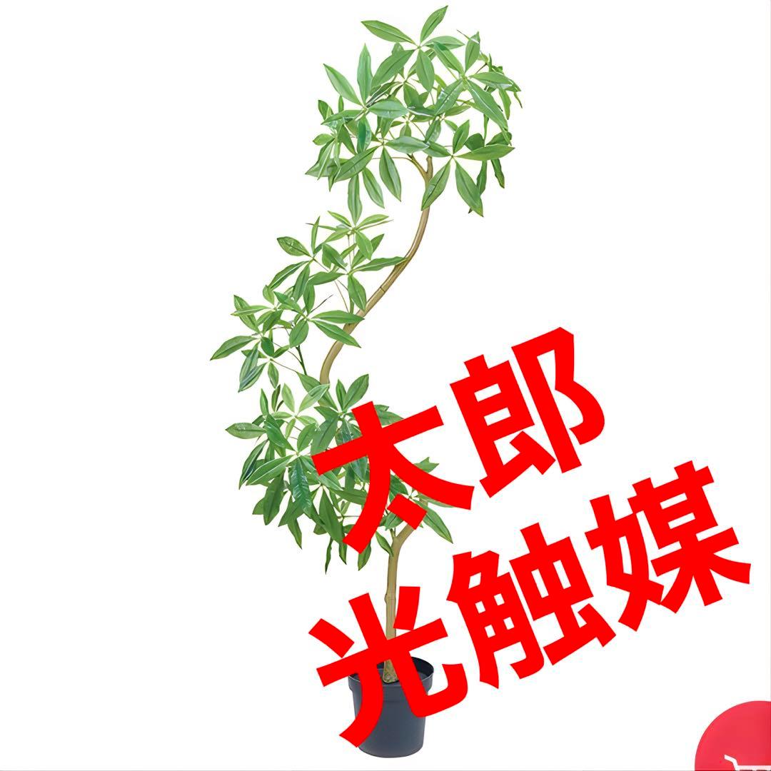 光触媒　人工観葉植物　ウォールグリーン　フェイクグリーン　パキラエレガンス200
