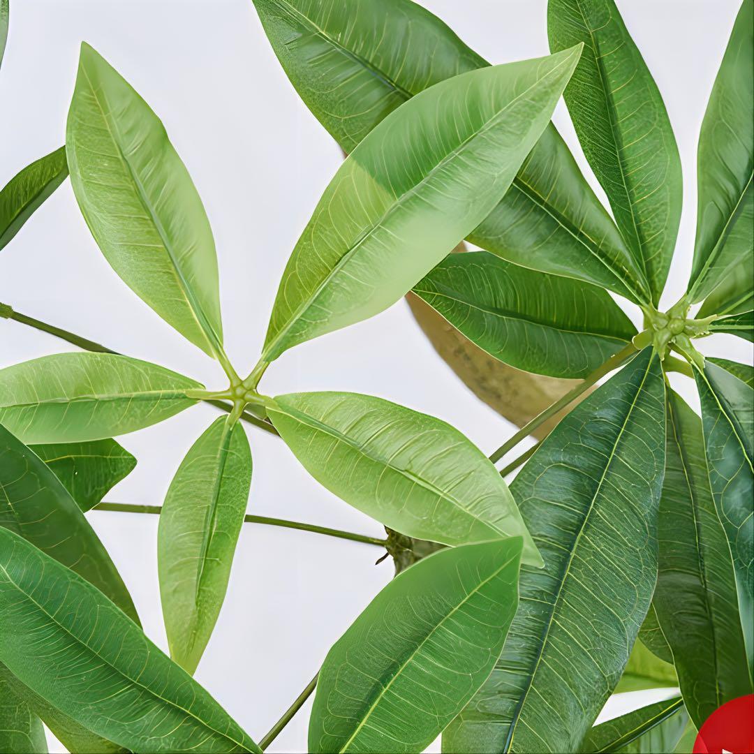 光触媒　人工観葉植物　ウォールグリーン　フェイクグリーン　パキラエレガンス200