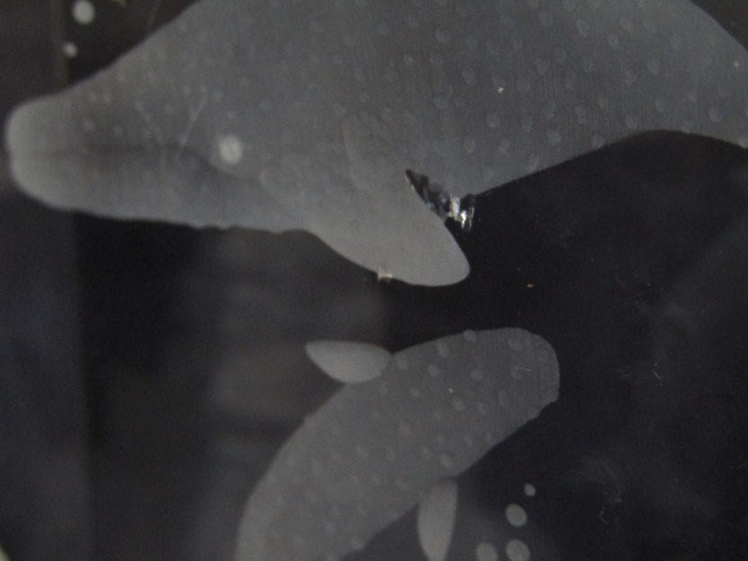 HOYAクリスタル　限定品　クリスタル海洋生物彫刻　希少品