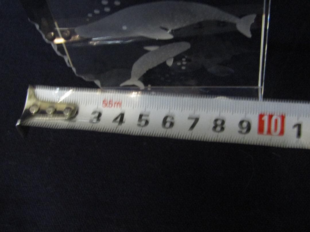 HOYAクリスタル　限定品　クリスタル海洋生物彫刻　希少品