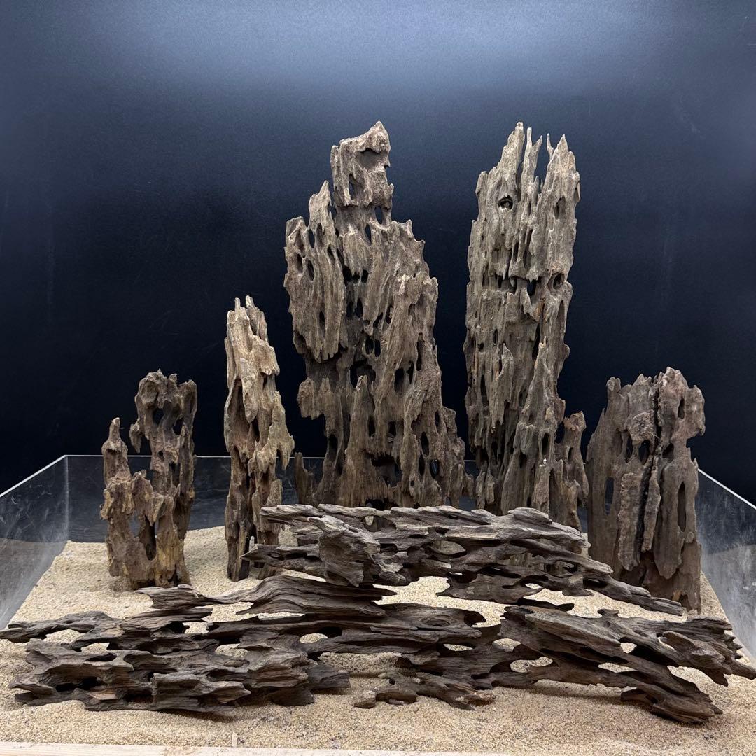 MMW-7055 マシンガンウッド8本セット　流木　アクアリウム