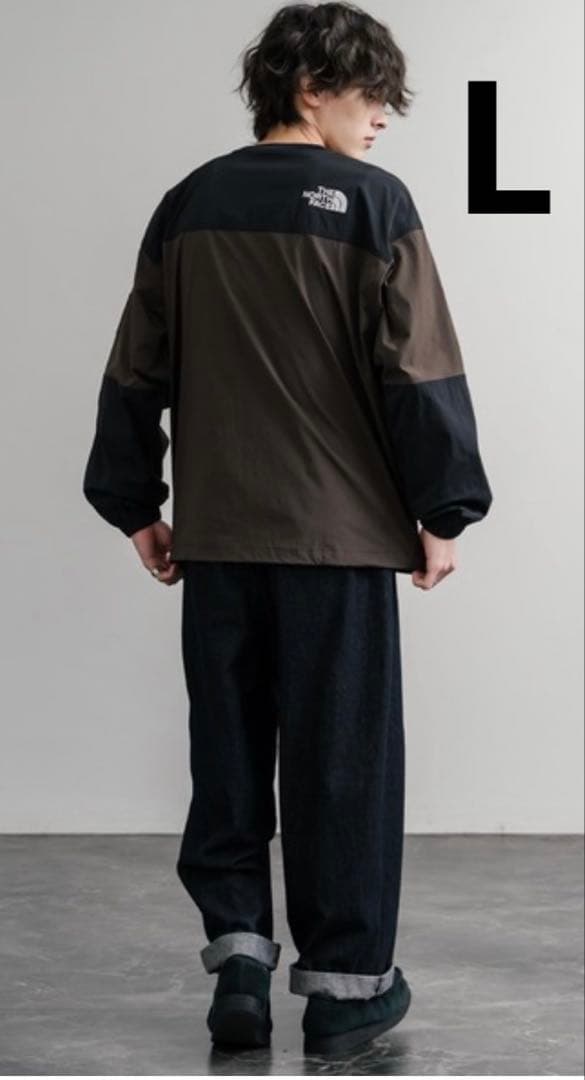 THE NORTH FACE ALBANY EX ブラウン