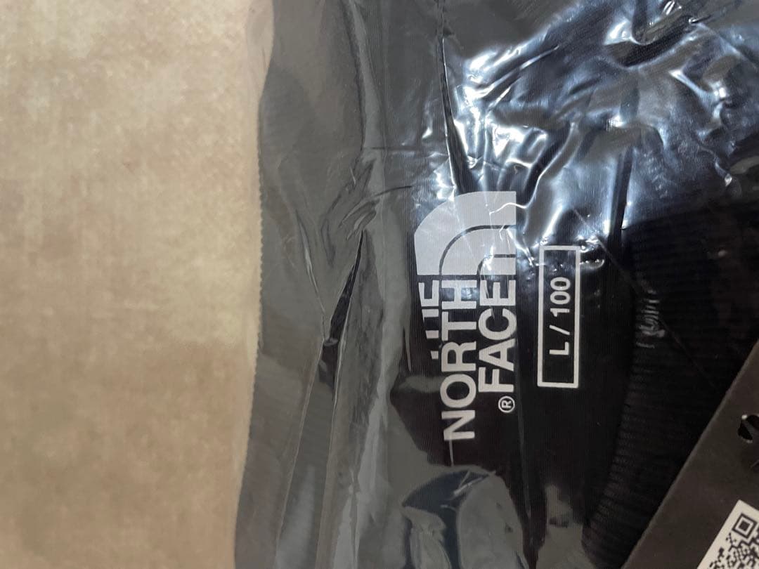 THE NORTH FACE ALBANY EX ブラウン