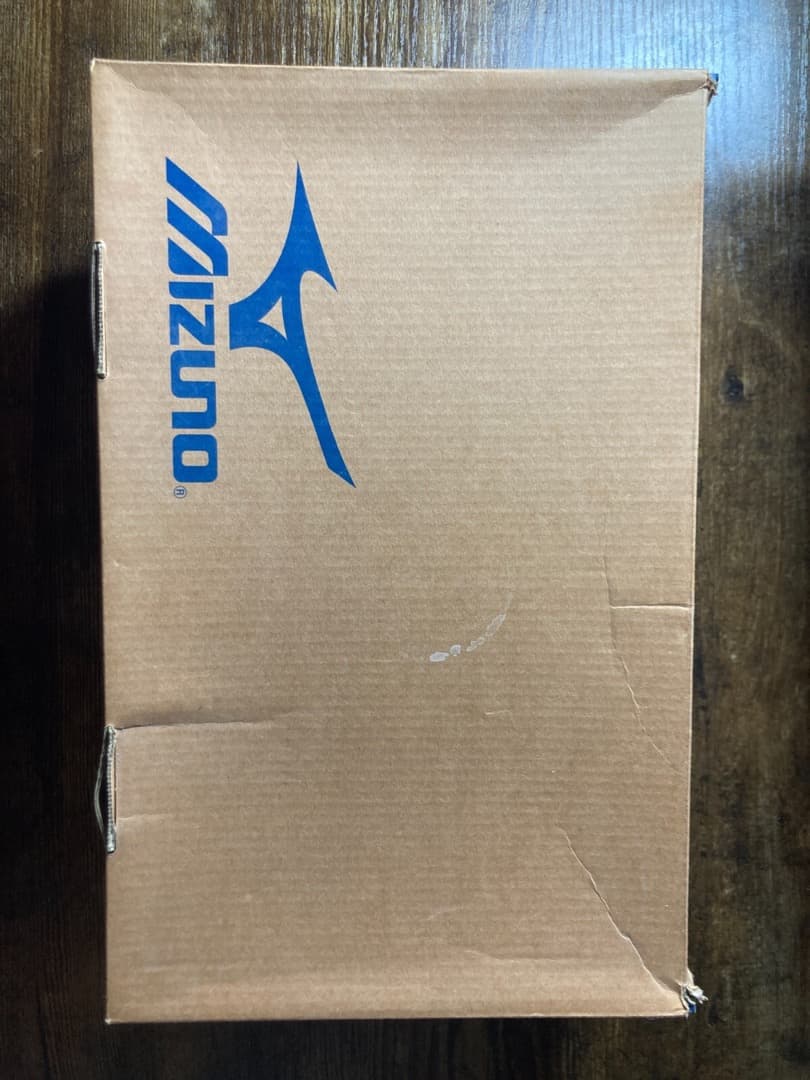 新品USA限定発売Mizuno野球用☆9-Spike Low G5 ★26cm