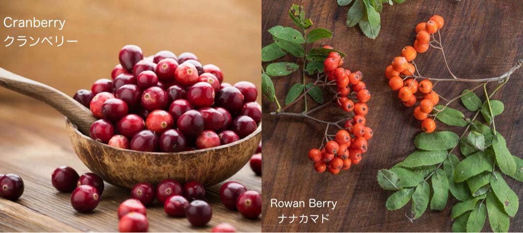 ロシア雑貨☆起き上がりこぼし♪『ロシアの食の見本市』オリガ最新作マトリョーシカ