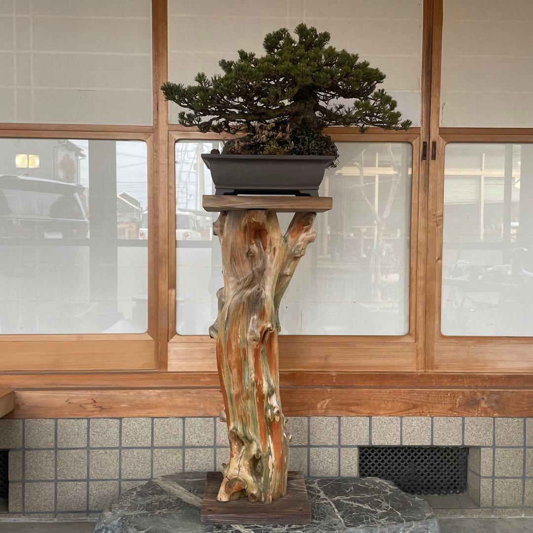 【銘木】盆栽用スタンド 高さ(約)75cm ハンドメイド 一品物 レア物 珍品