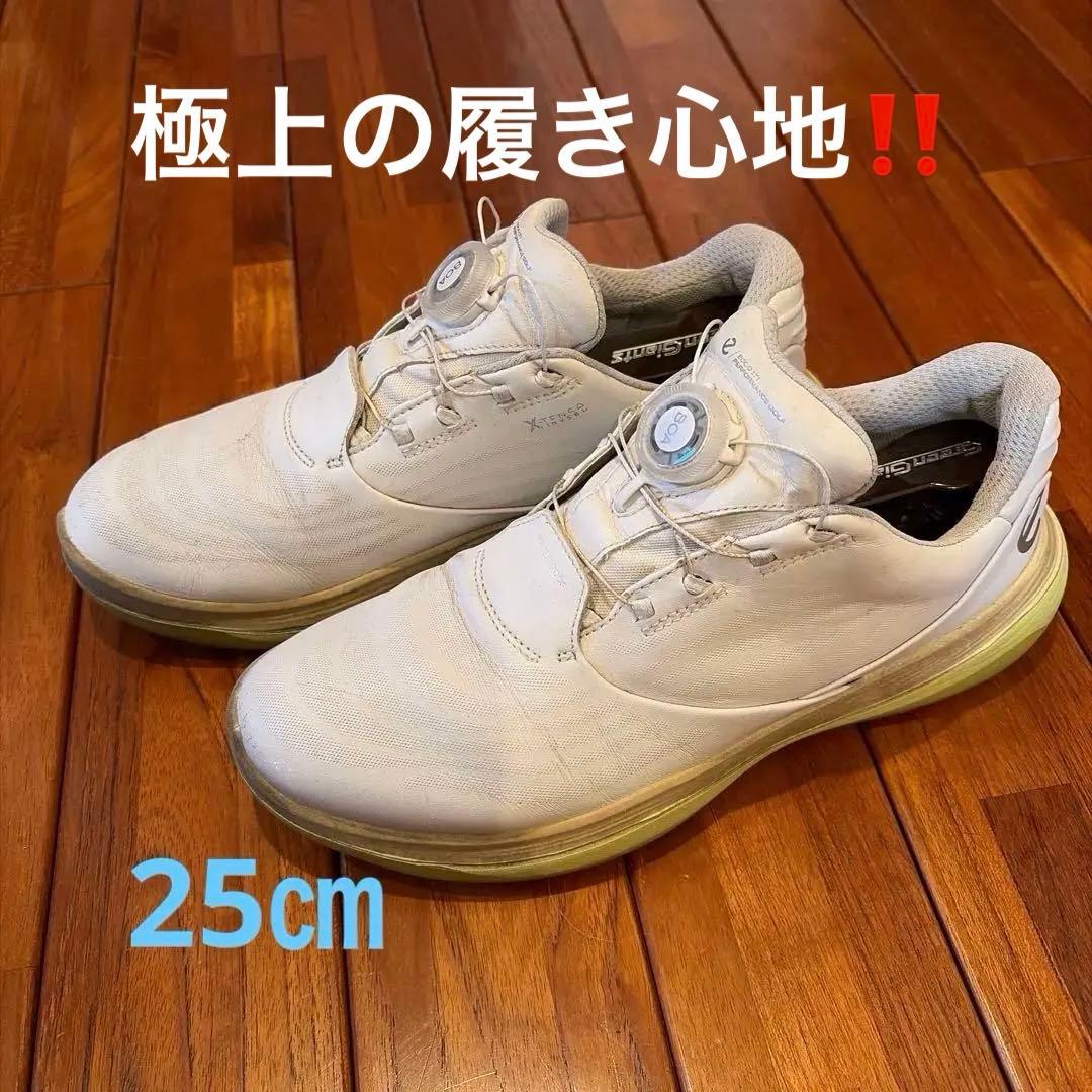 ECCO ゴルフシューズ BOAフィット ホワイト