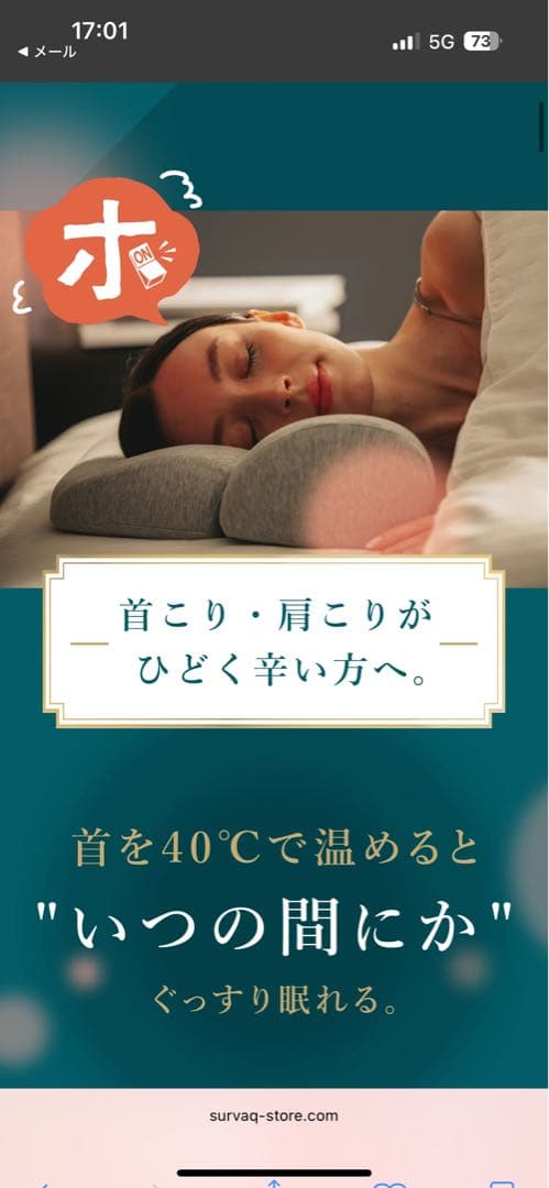 CALQS HOT PILLOW ベーシック 加熱枕 グレー