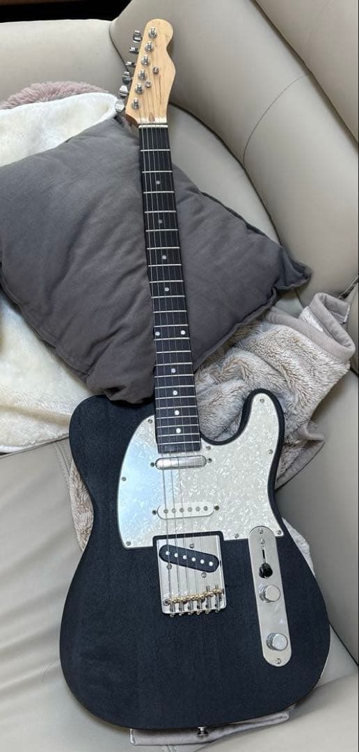 エレキギター (テレキャスタータイプ) 5way切替&2.5Kg &ソフトケース