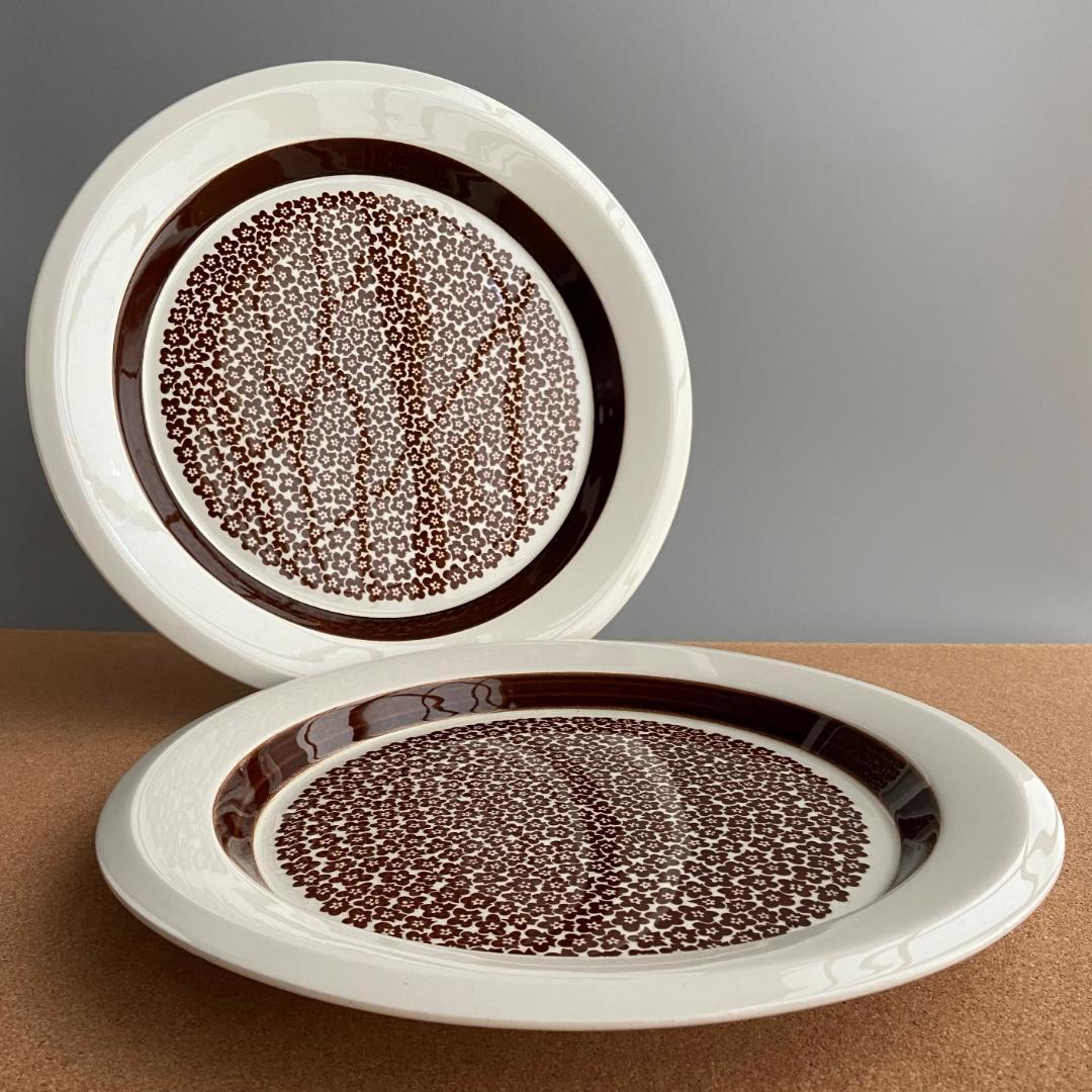 ARABIA faenza ファエンツァ 26cm ディナープレート 2枚 DE