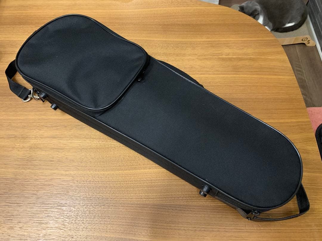 バイオリンと弓、黒ケース付き