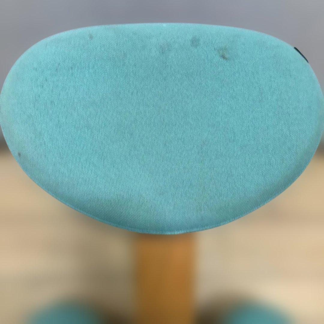 Balans EASY バランスイージー バランスチェア 姿勢矯正 75008