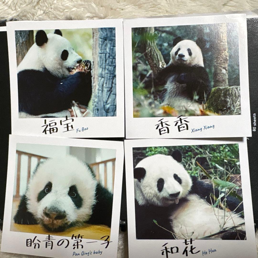 あ*こ様 パンダのすごい世界 香香 和花 福宝 盼青の第一子 入場者特典　入場