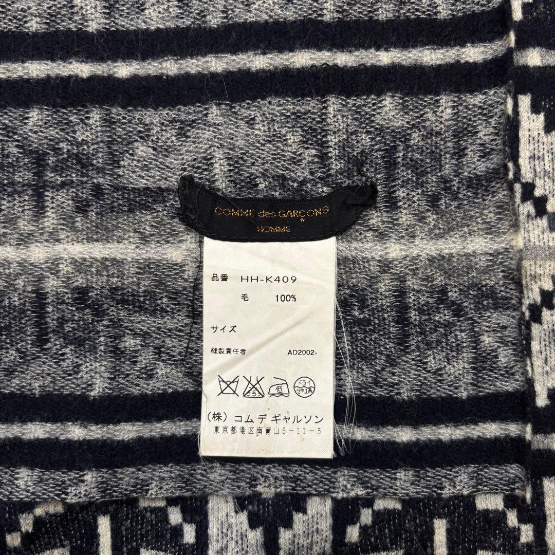 【AD2002】COMME des GARÇONS HOMME 田中オム 超大判