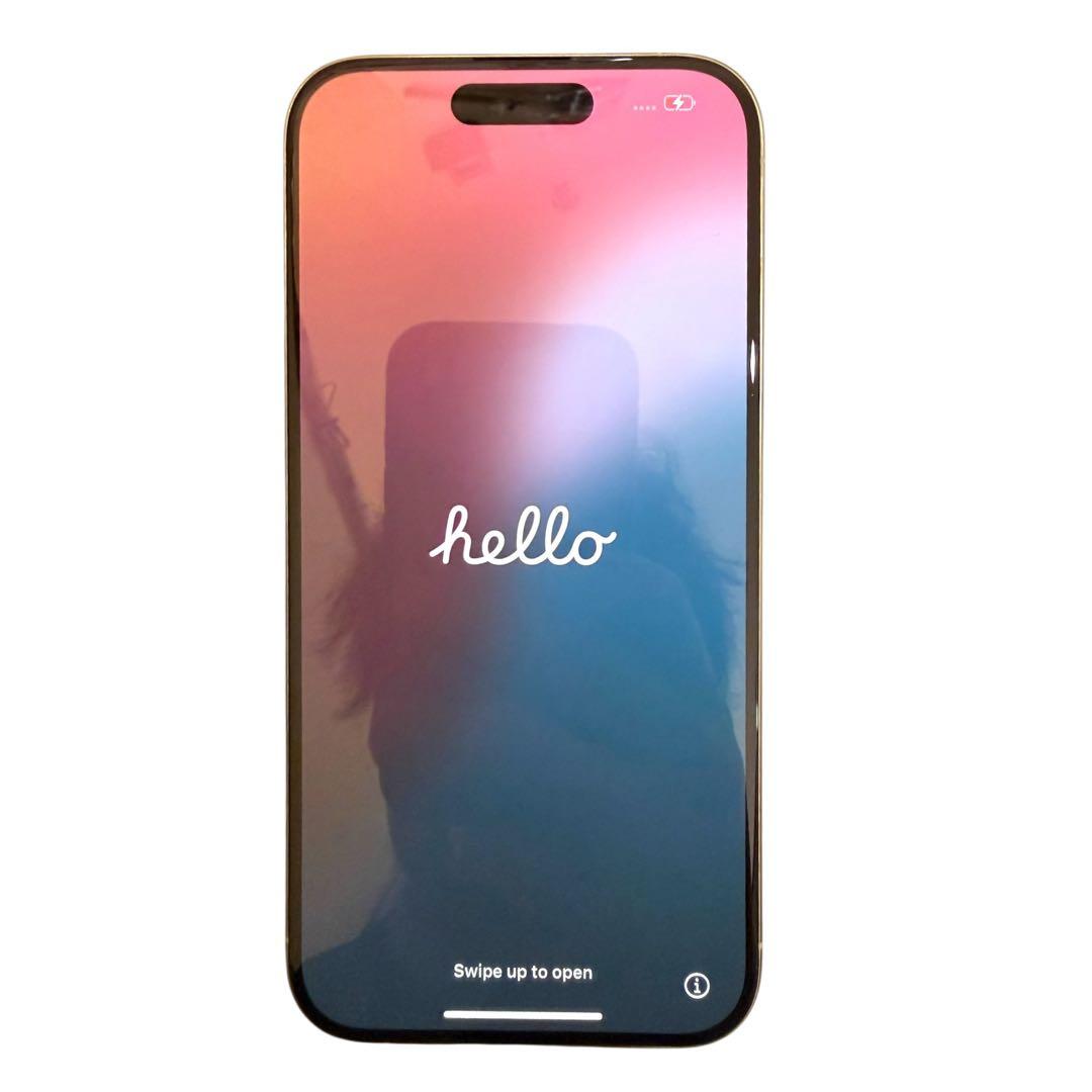 iPhone 15 Pro 1TB SIMフリー ★バッテリー100%★ 美品