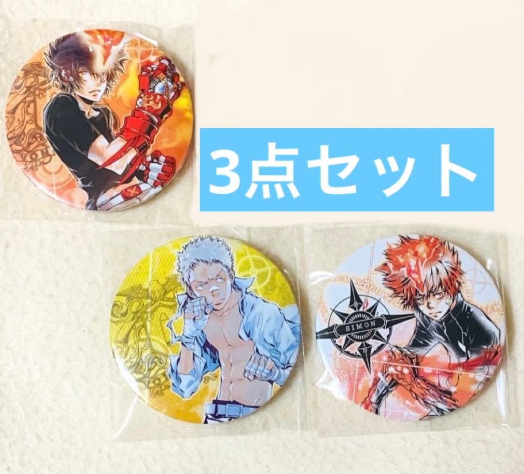 REBORN リボーン バッジ 天野明 綱吉 了平 炎真