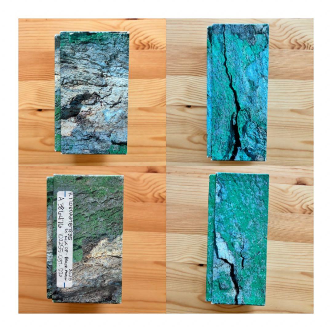 ROLEX Oyster ボーイズモデル　箱