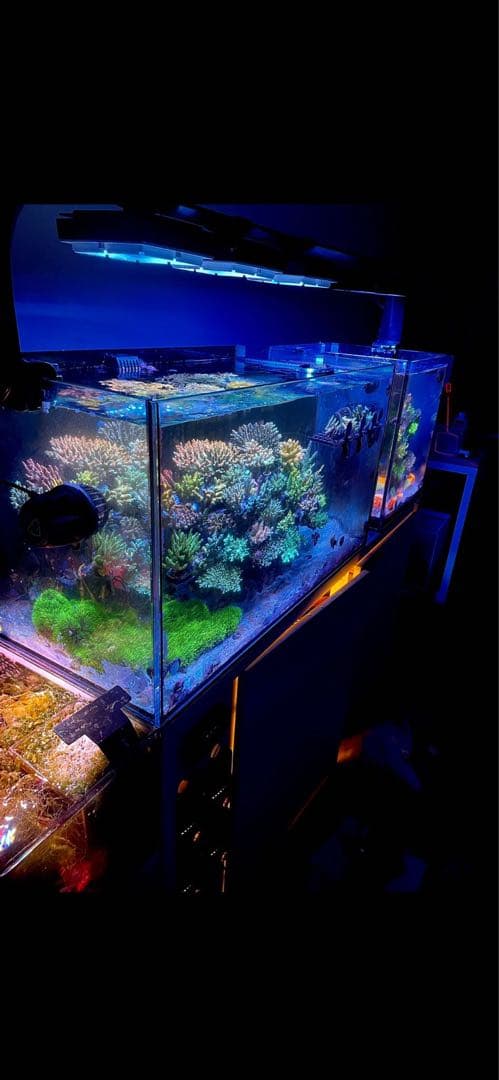 Ecotech Marine Radion XR15 3機　専用ステー