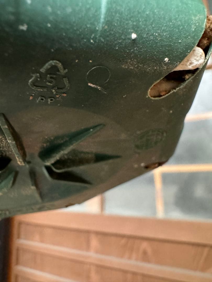 アガベ Agave montana 'Tiffany' 192