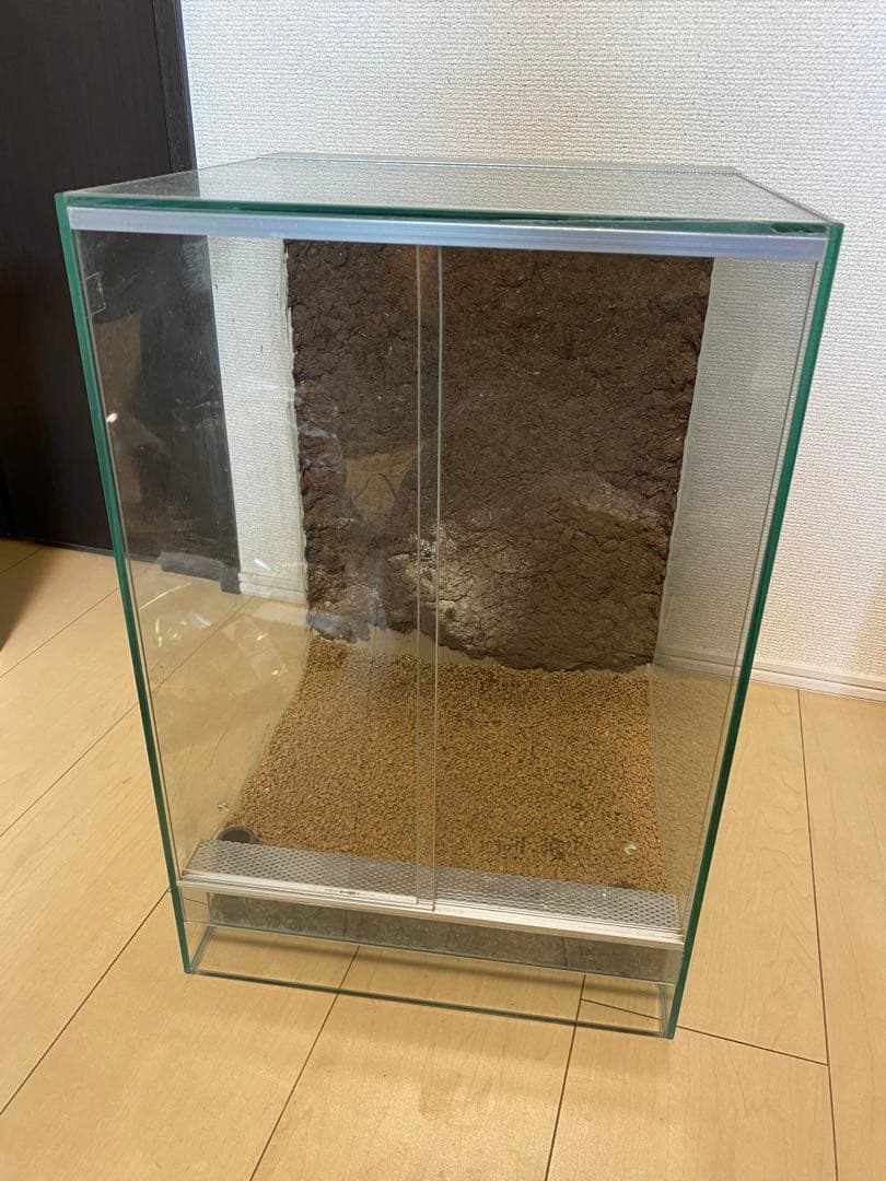 パルダリウム　ビバリウム　水槽セット