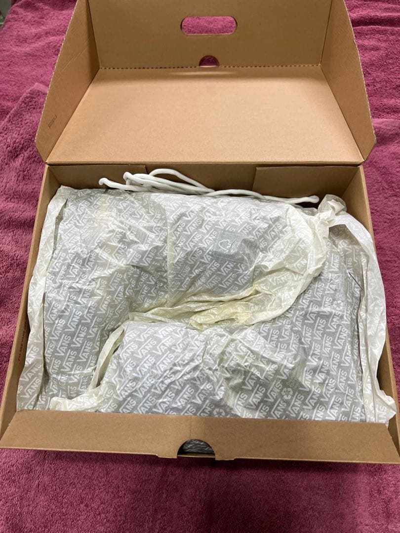 Vans Infuse Surf ブーツ 26.0センチ1時間程使用