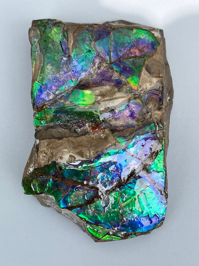 化石　原石　アンモライト　アンモナイト　幅7.7cm カナダ産　箱付き