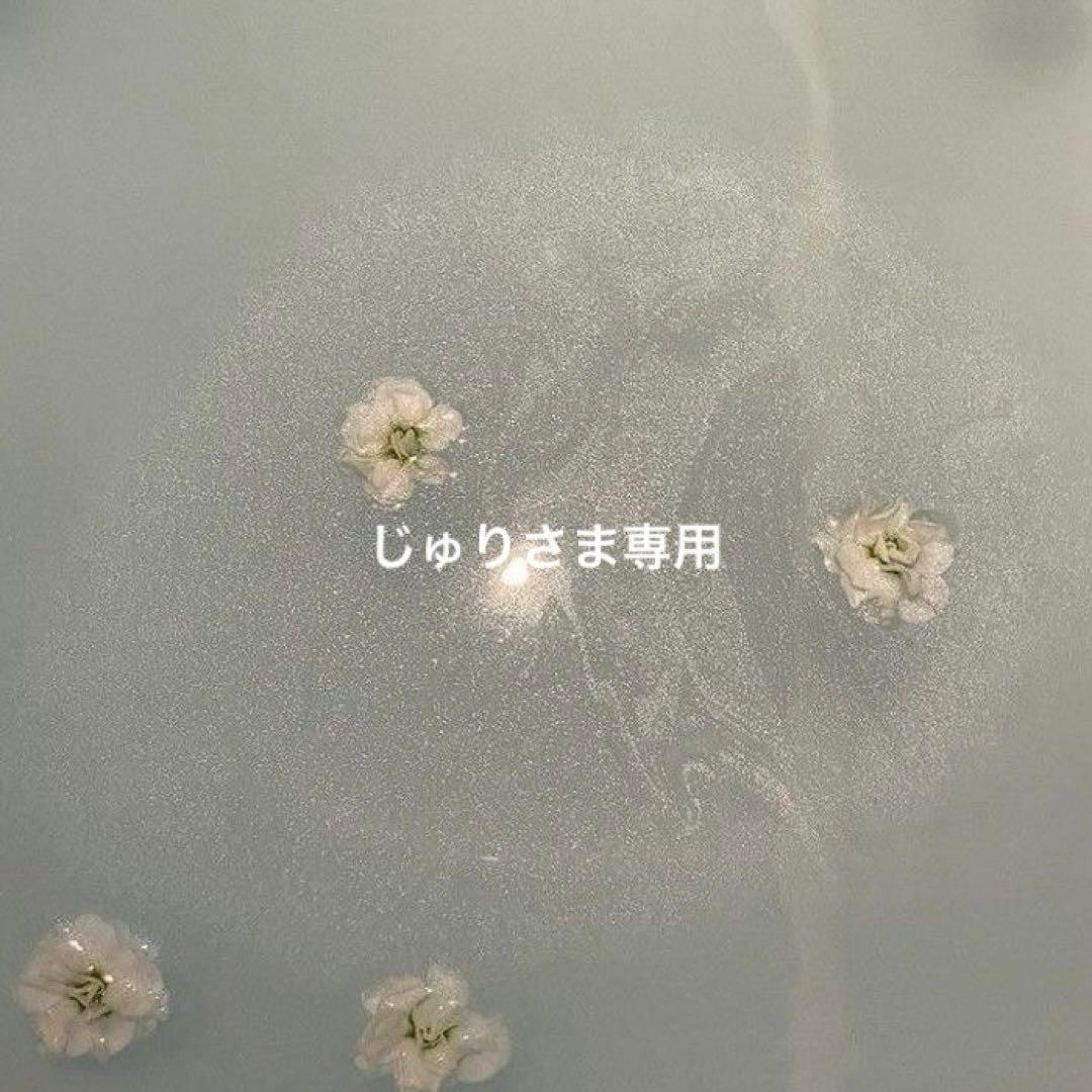 じゅりさま専用