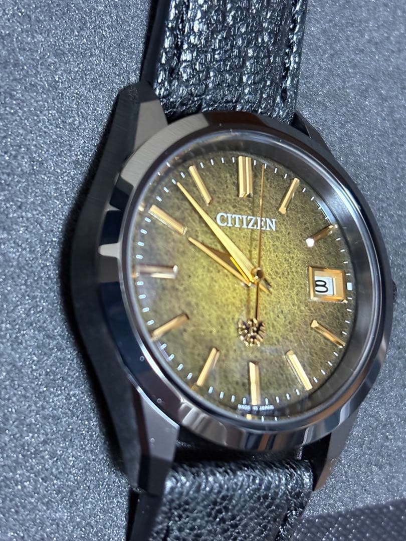 新品未使用ザ・シチズンIconic Nature Collection 「月」