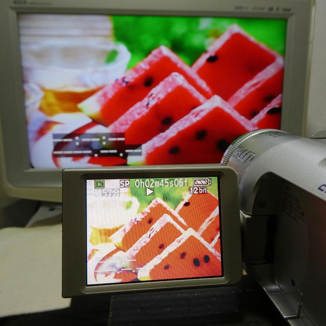 動作良好 パナソニック NV-GS150 MiniDVビデオカメラDVD化に最適