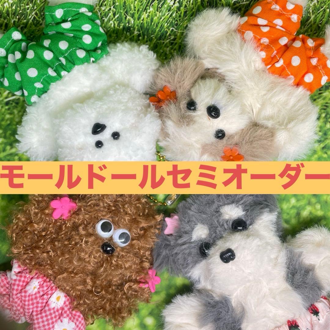 モールドール セミオーダー受付 2500円〜