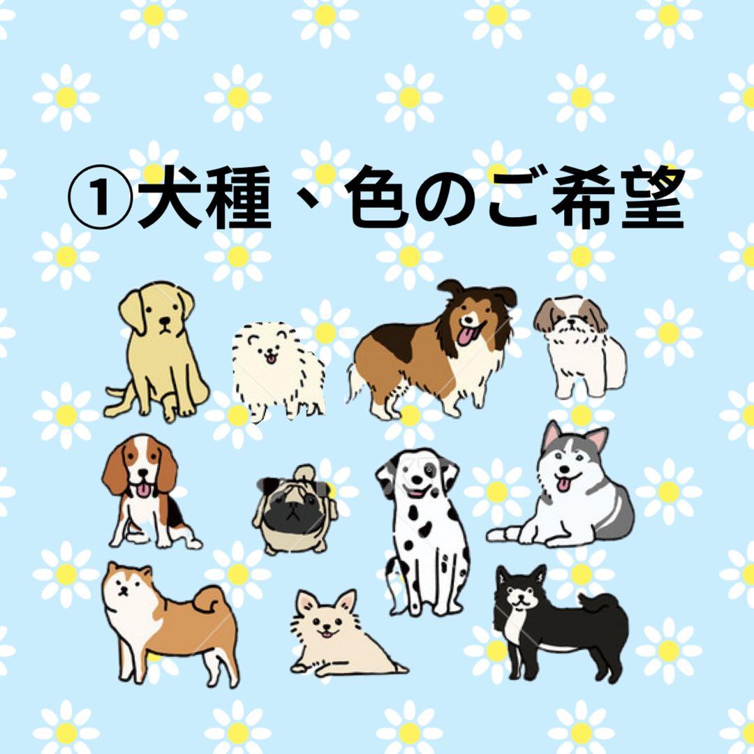 モールドール セミオーダー受付 2500円〜