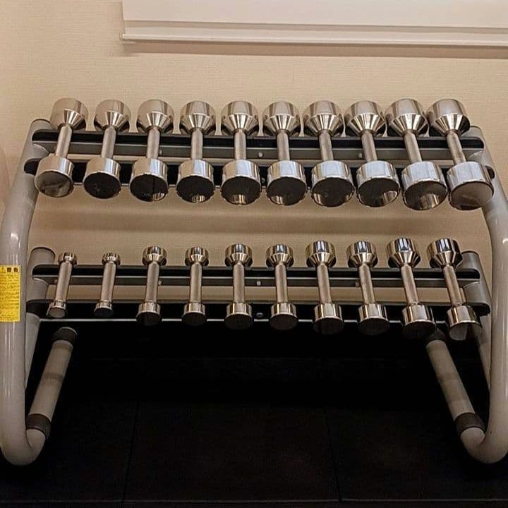 定価60万円超 中旺ヘルス ステンレスダンベルセット1kg〜10kg＋テクノジム