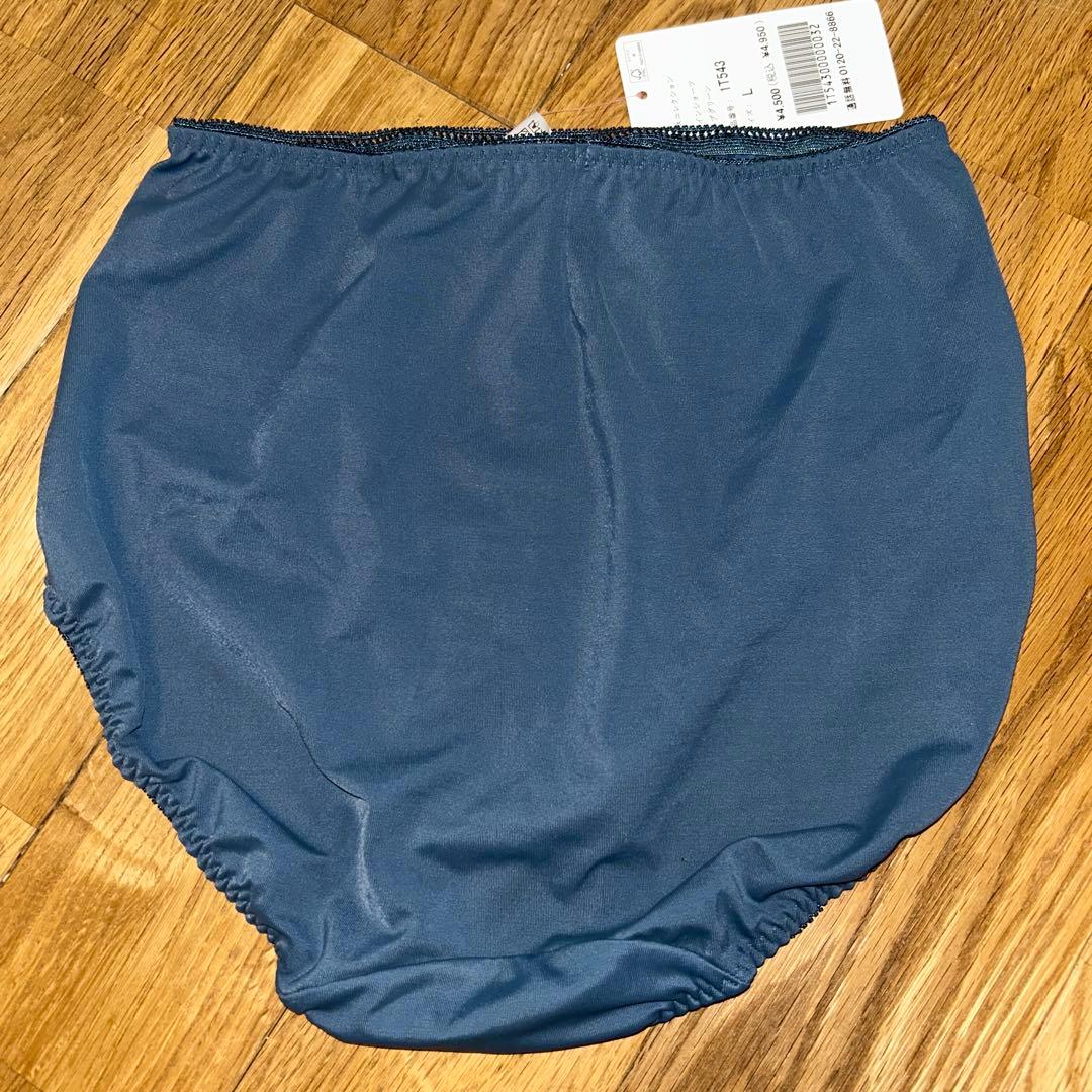 ダイアナ補正下着E70ブラジャーショーツLリーブグリーン