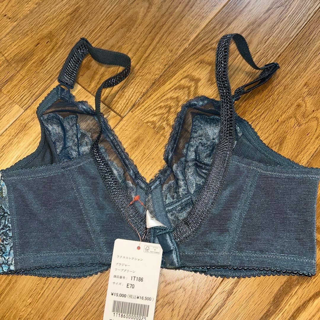 ダイアナ補正下着E70ブラジャーショーツLリーブグリーン