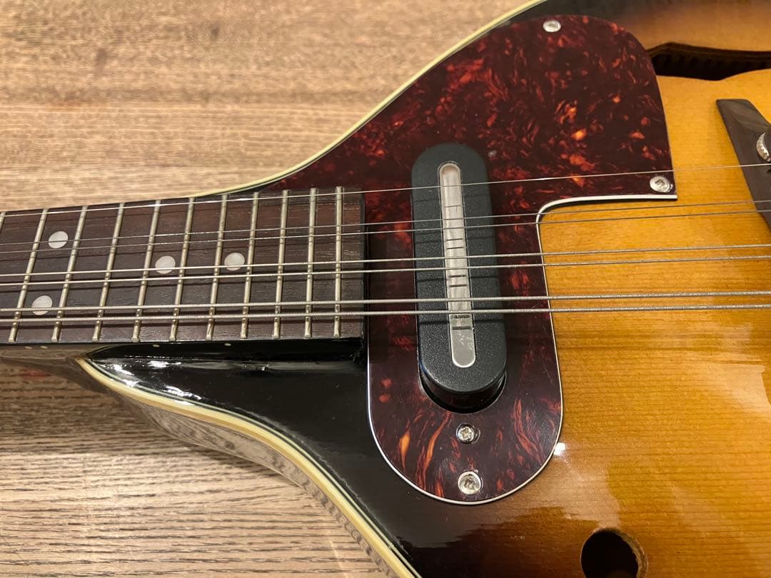 aria エレキマンドリン (Ritter ケース付き)