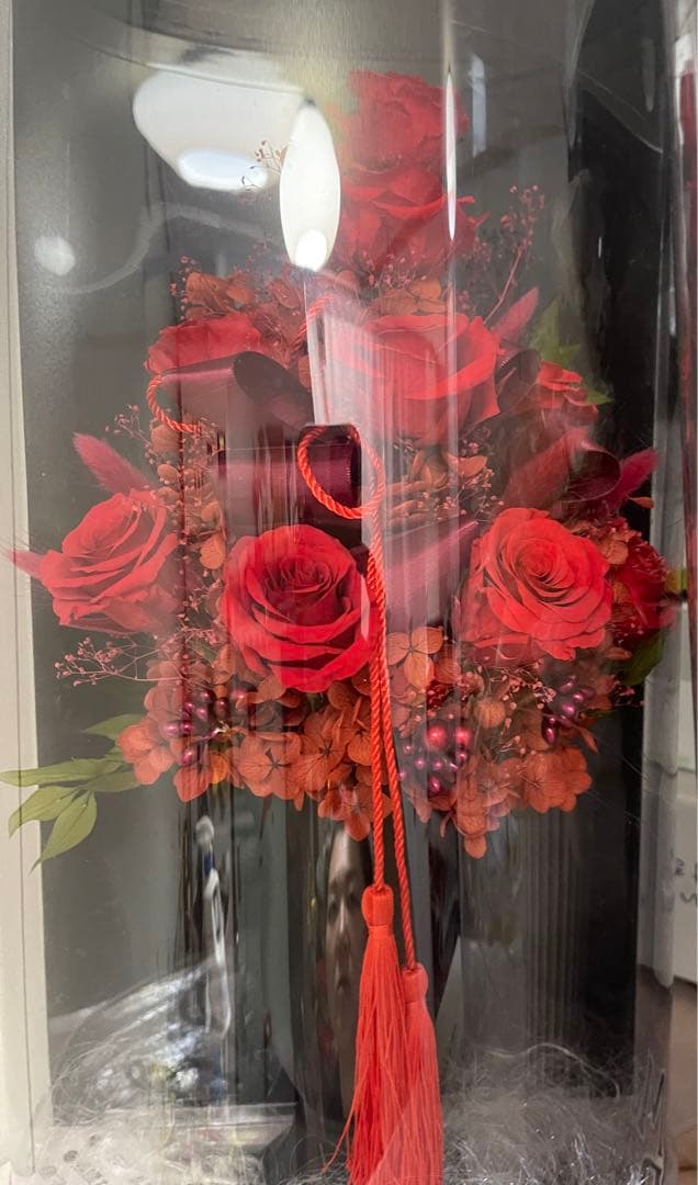 ケース入りブリザードフラワー 赤バラ薔薇⭐︎美品