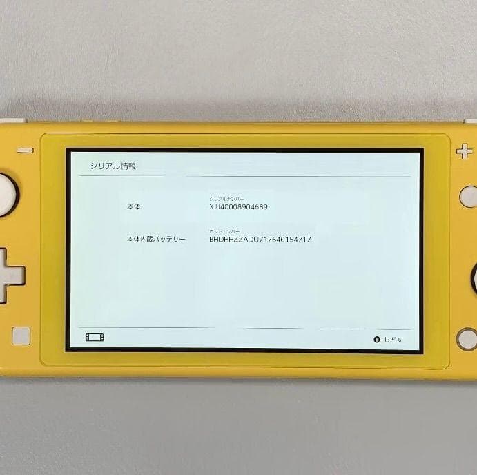 Nintendo Switch Lite 本体 動作品　2024