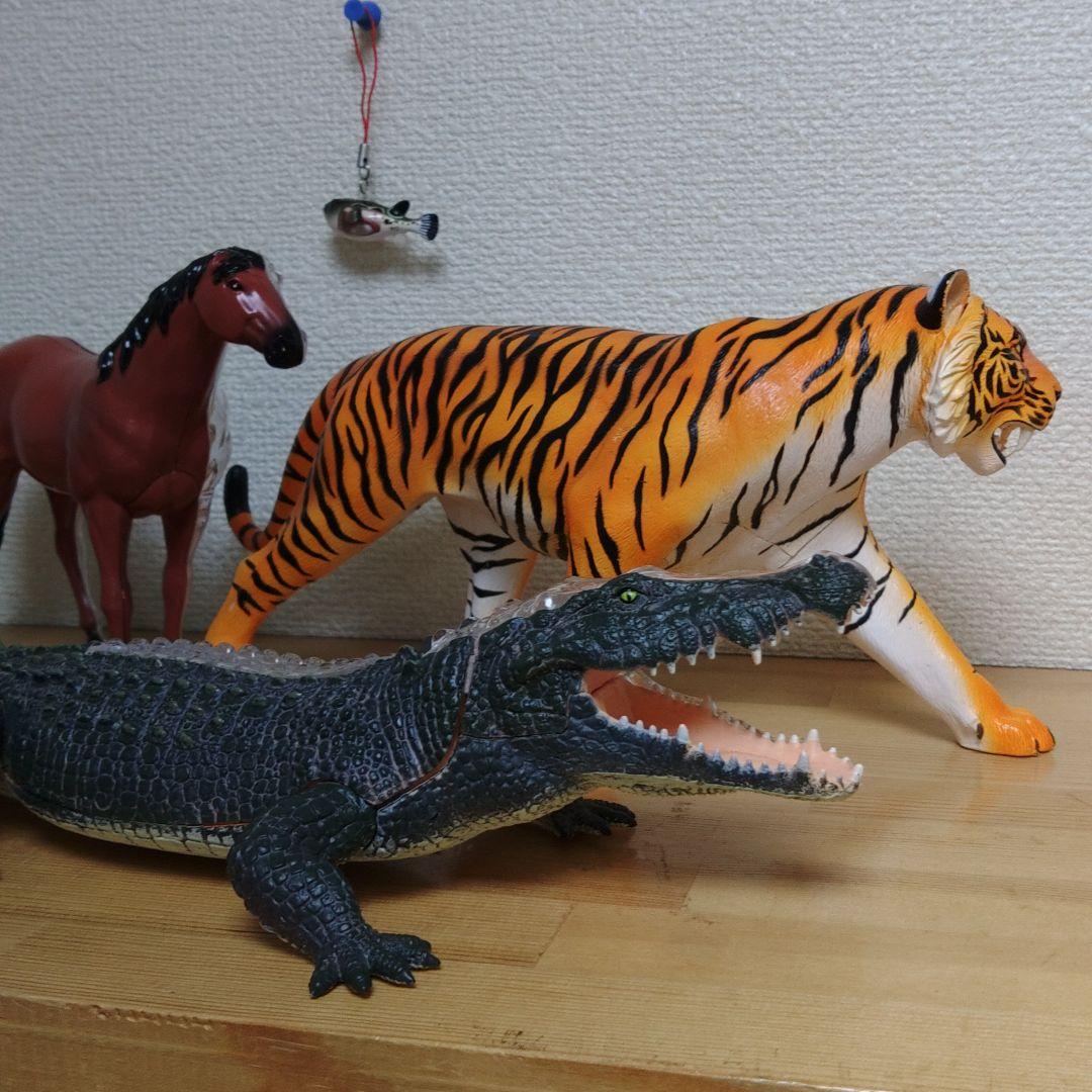 スケルトン 解剖 動物模型 ワニ トラ 馬　フグ 4 VISION剖　ハロウィン