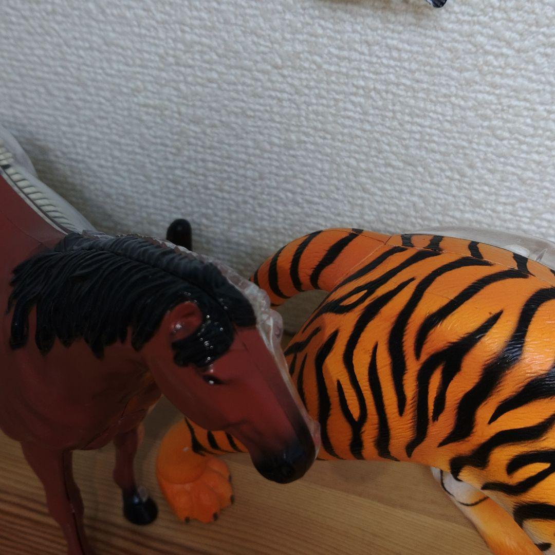 スケルトン 解剖 動物模型 ワニ トラ 馬　フグ 4 VISION剖　ハロウィン