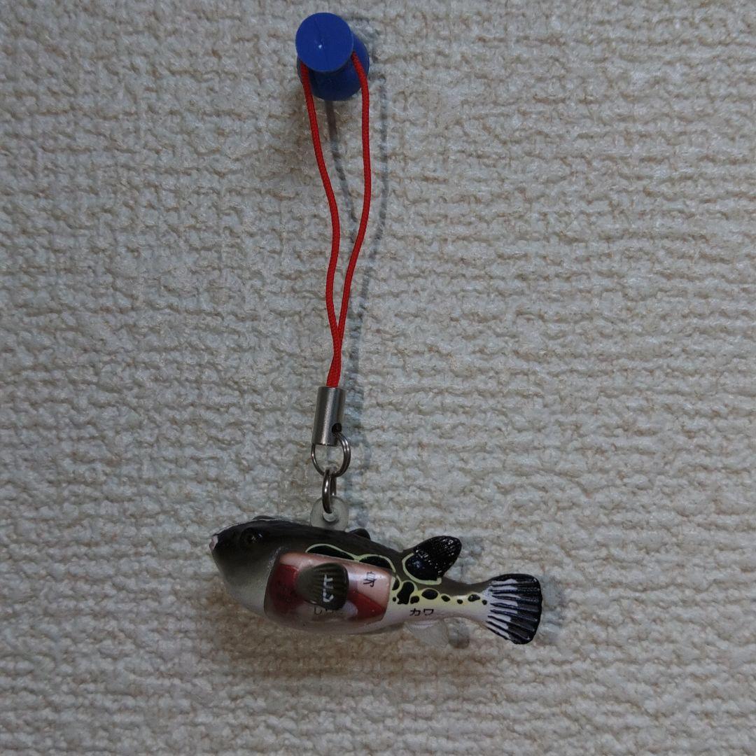 スケルトン 解剖 動物模型 ワニ トラ 馬　フグ 4 VISION剖　ハロウィン