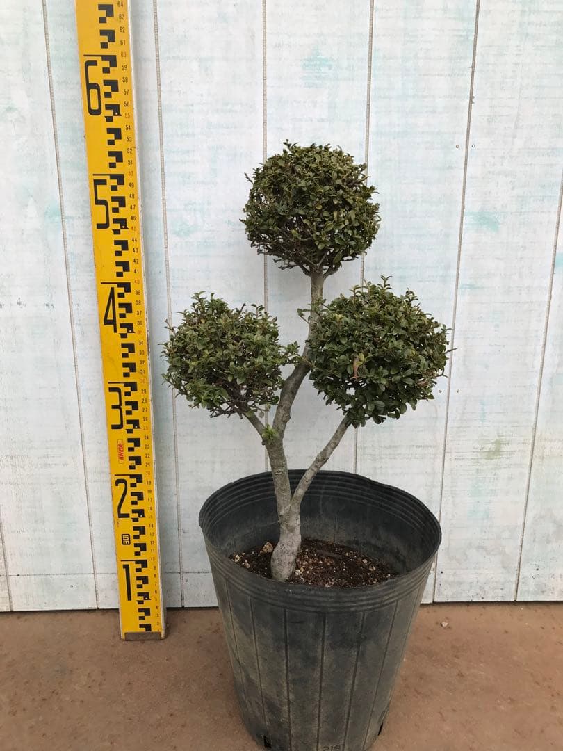 yutax6様 リクエスト 2点 まとめ商品